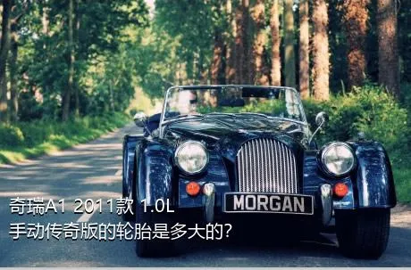 奇瑞A1 2011款 1.0L 手动传奇版的轮胎是多大的？