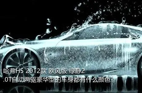 哈弗H5 2012款 欧风版 绿静2.0T自动两驱豪华型的车身都有什么颜色？