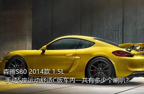 森雅S80 2014款 1.5L 手动5座运动舒适C版车内一共有多少个喇叭？