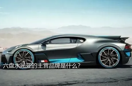 六盘水光亚的主营品牌是什么？
