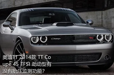 奥迪TT 2014款 TT Coupe 45 TFSI 劲动型有没有胎压监测功能？