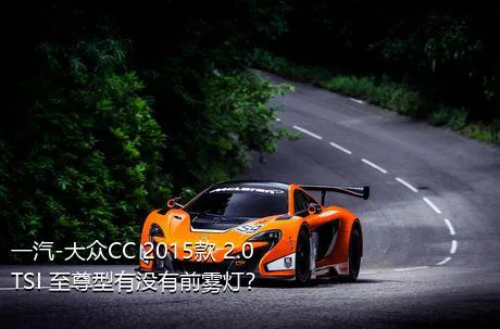 一汽-大众CC 2015款 2.0TSI 至尊型有没有前雾灯？