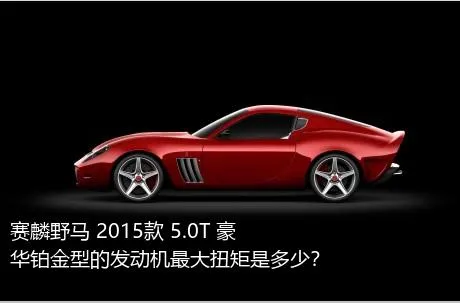 赛麟野马 2015款 5.0T 豪华铂金型的发动机最大扭矩是多少？