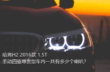 哈弗H2 2016款 1.5T 手动四驱尊贵型车内一共有多少个喇叭？
