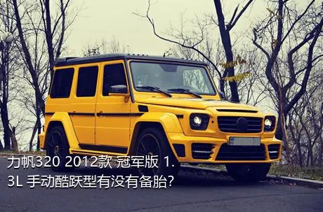 力帆320 2012款 冠军版 1.3L 手动酷跃型有没有备胎？