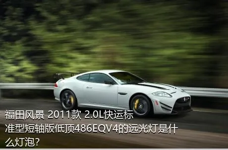 福田风景 2011款 2.0L快运标准型短轴版低顶486EQV4的远光灯是什么灯泡？