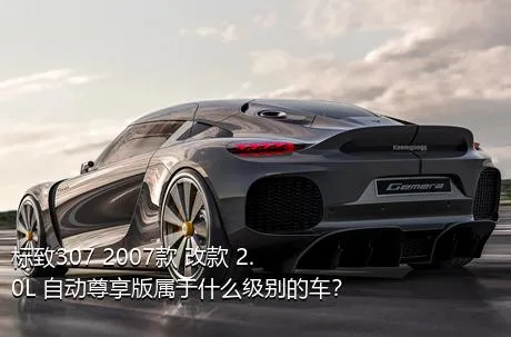 标致307 2007款 改款 2.0L 自动尊享版属于什么级别的车？