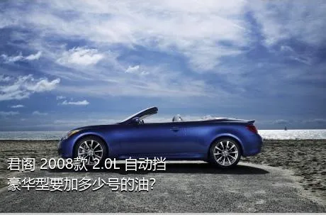君阁 2008款 2.0L 自动挡豪华型要加多少号的油？