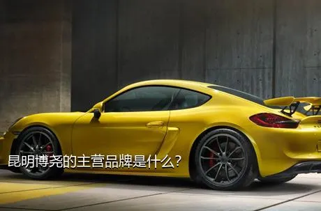 昆明博尧的主营品牌是什么？