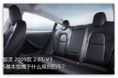 都灵 2009款 2.8T-V36基本型属于什么级别的车？