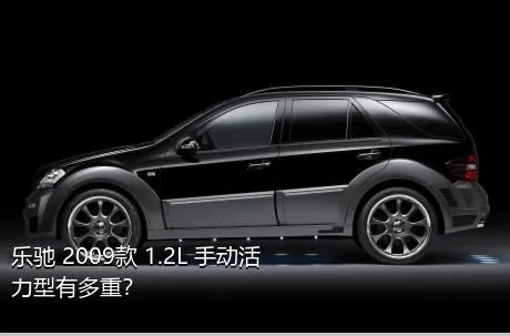 乐驰 2009款 1.2L 手动活力型有多重？