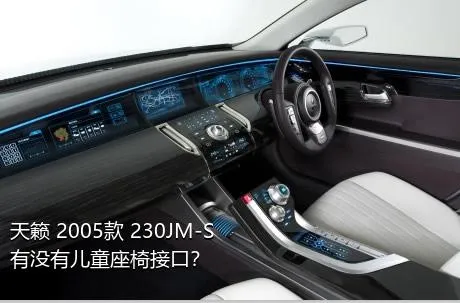 天籁 2005款 230JM-S有没有儿童座椅接口？