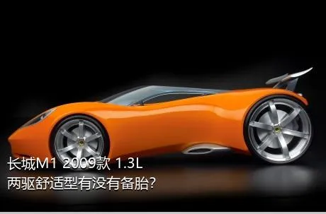 长城M1 2009款 1.3L 两驱舒适型有没有备胎？