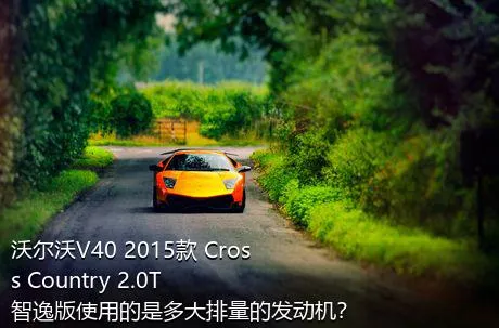 沃尔沃V40 2015款 Cross Country 2.0T 智逸版使用的是多大排量的发动机？