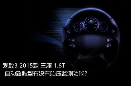 观致3 2015款 三厢 1.6T 自动致酷型有没有胎压监测功能？