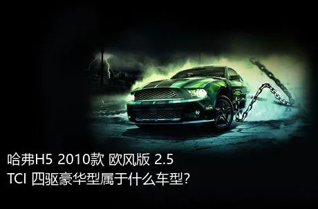 哈弗H5 2010款 欧风版 2.5TCI 四驱豪华型属于什么车型？