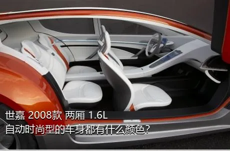 世嘉 2008款 两厢 1.6L 自动时尚型的车身都有什么颜色？