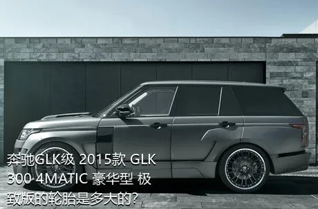 奔驰GLK级 2015款 GLK 300 4MATIC 豪华型 极致版的轮胎是多大的？