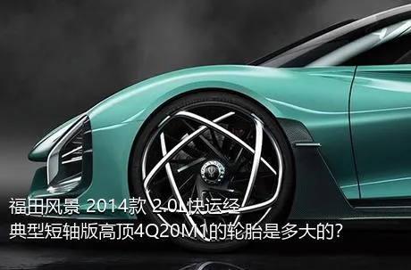 福田风景 2014款 2.0L快运经典型短轴版高顶4Q20M1的轮胎是多大的？