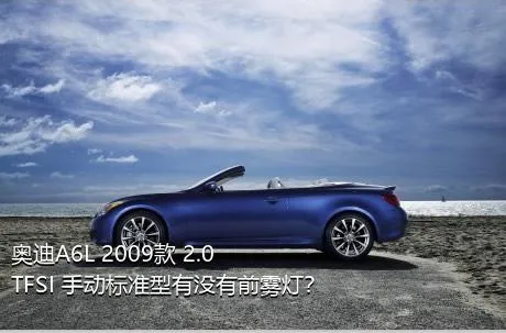 奥迪A6L 2009款 2.0 TFSI 手动标准型有没有前雾灯？