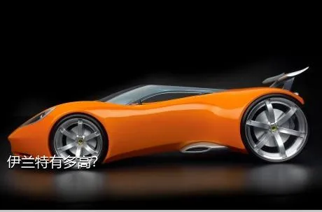 伊兰特有多高？