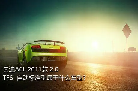 奥迪A6L 2011款 2.0 TFSI 自动标准型属于什么车型？