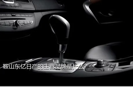 鞍山东亿日产的主营品牌是什么？