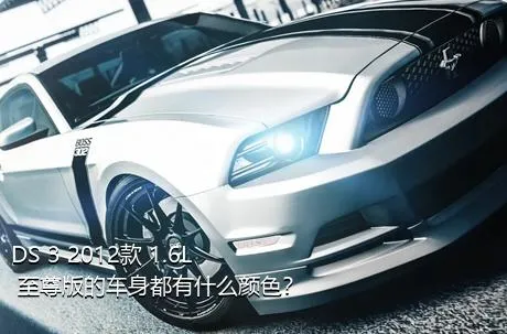 DS 3 2012款 1.6L 至尊版的车身都有什么颜色？