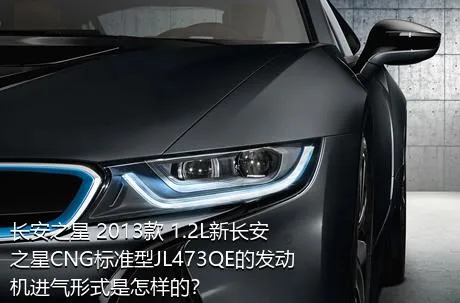 长安之星 2013款 1.2L新长安之星CNG标准型JL473QE的发动机进气形式是怎样的？