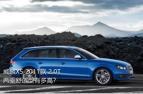 威麟X5 2011款 2.0T 两驱舒适型有多高？