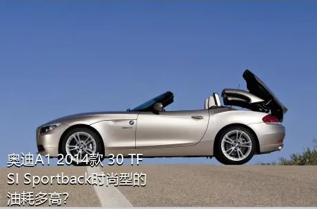 奥迪A1 2014款 30 TFSI Sportback时尚型的油耗多高？