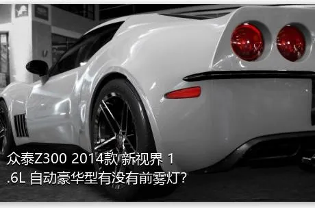 众泰Z300 2014款 新视界 1.6L 自动豪华型有没有前雾灯？