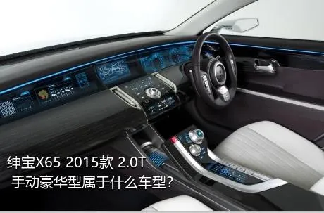 绅宝X65 2015款 2.0T 手动豪华型属于什么车型？