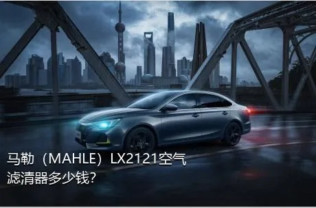 马勒（MAHLE）LX2121空气滤清器多少钱？