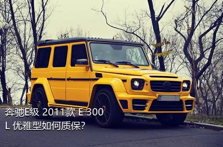 奔驰E级 2011款 E 300 L 优雅型如何质保？