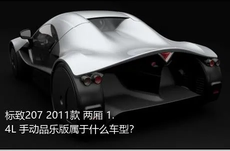 标致207 2011款 两厢 1.4L 手动品乐版属于什么车型？