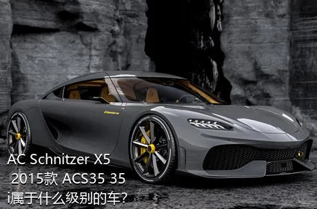 AC Schnitzer X5 2015款 ACS35 35i属于什么级别的车？