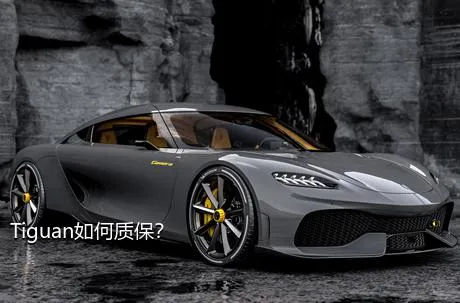 Tiguan如何质保？
