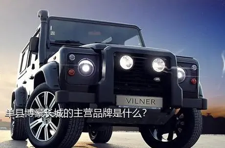 单县博豪长城的主营品牌是什么？