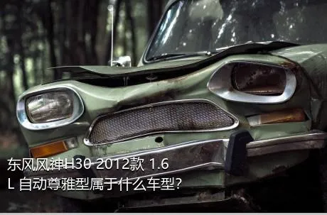 东风风神H30 2012款 1.6L 自动尊雅型属于什么车型？