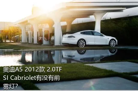 奥迪A5 2012款 2.0TFSI Cabriolet有没有前雾灯？