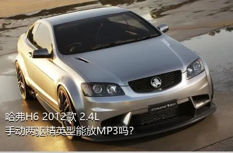 哈弗H6 2012款 2.4L 手动两驱精英型能放MP3吗？