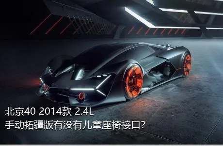 北京40 2014款 2.4L 手动拓疆版有没有儿童座椅接口？
