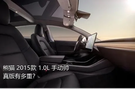 熊猫 2015款 1.0L 手动帅真版有多重？