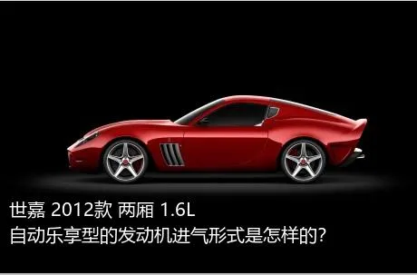 世嘉 2012款 两厢 1.6L 自动乐享型的发动机进气形式是怎样的？
