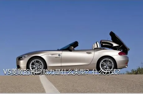 V5菱致的转向助力是什么类型？什么方式？