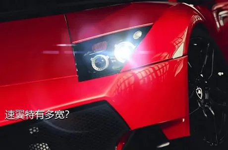速翼特有多宽？