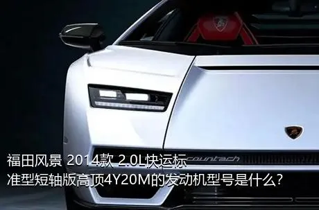 福田风景 2014款 2.0L快运标准型短轴版高顶4Y20M的发动机型号是什么？