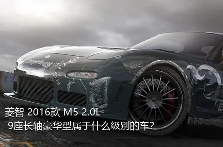 菱智 2016款 M5 2.0L 9座长轴豪华型属于什么级别的车？