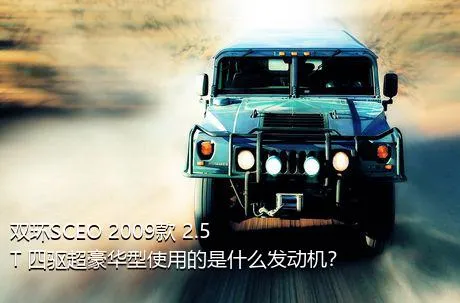 双环SCEO 2009款 2.5T 四驱超豪华型使用的是什么发动机？